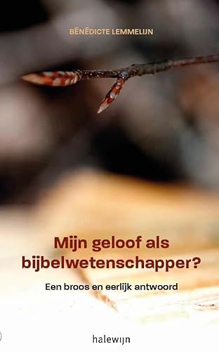 Mijn geloof als bijbelwetenschapper?: een broos en eerlijk antwoord