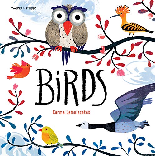 Birds (Walker Studio) von Walker Books