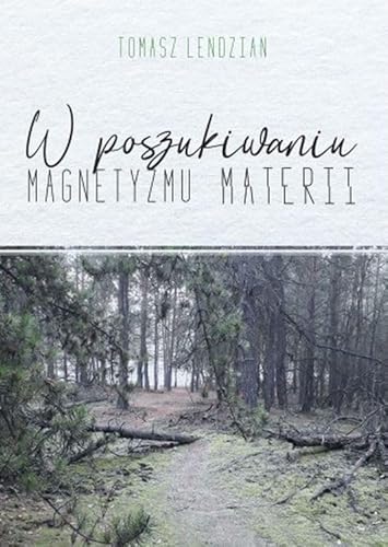 W poszukiwaniu magnetyzmu materii von Borgis