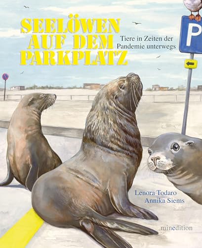 Seelöwen auf dem Parkplatz