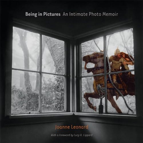 Being in Pictures: An Intimate Photo Memoir Being in Pictures: An Intimate Photo Memoir von University of Michigan Press