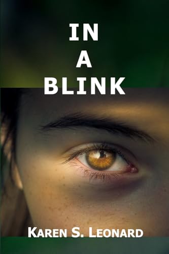 In a Blink von Lulu.com