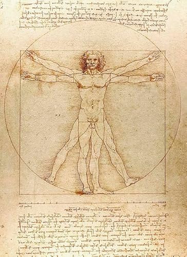 Vitruvian Man Notebook von Dover Publications