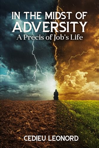 In The Midst of Adversity: A Precis of Job’s Life von Parker Publishers