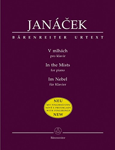 Im Nebel von Bärenreiter