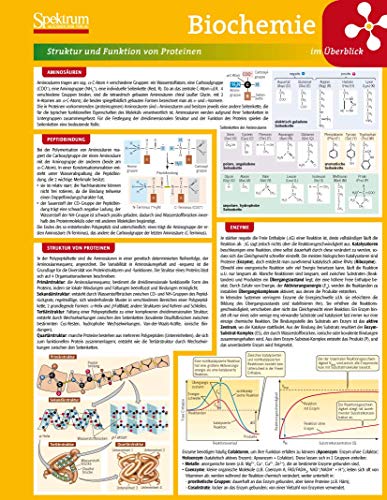 Lerntafel: Biochemie im Überblick (Lerntafeln Biologie)