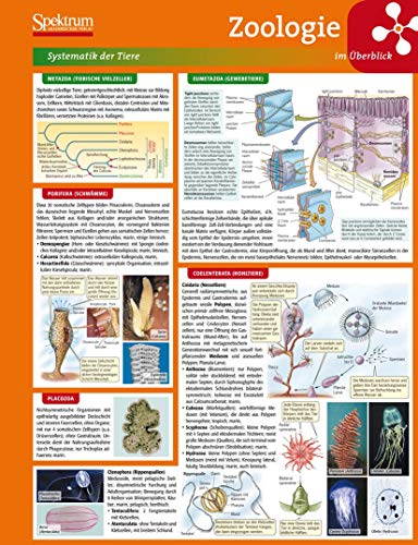 Lerntafel: Zoologie im Überblick: Systematik der Tiere (Lerntafeln Biologie) von Spektrum Akademischer Verlag