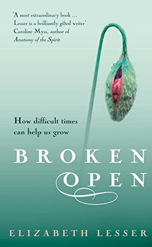 Broken Open: How difficult times can help us grow von Rider