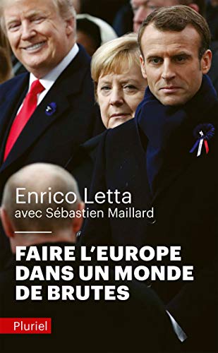 Faire l'Europe dans un monde de brutes von PLURIEL
