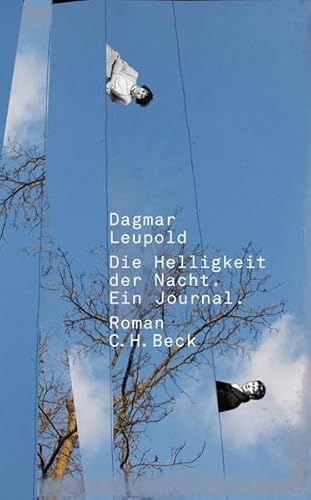 Die Helligkeit der Nacht: Roman