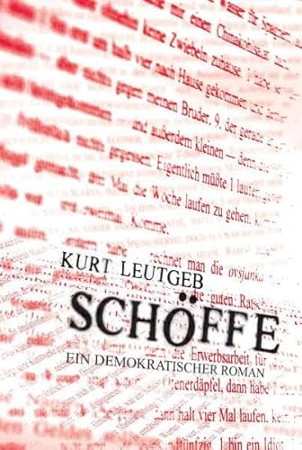 Schöffe: Ein demokratischer Roman