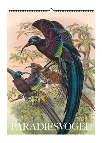 Paradiesvögel. Wandkalender 2024: Farbenfrohe Vögel aus aller Welt von Favoritenpresse GmbH