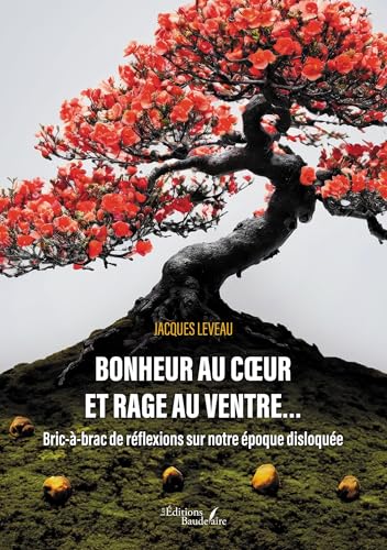 Bonheur au coeur et rage au ventre...: Bric-à-brac de réflexions sur notre époque disloquée von Baudelaire