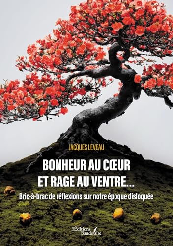 Bonheur au coeur et rage au ventre...: Bric-à-brac de réflexions sur notre époque disloquée Bonheur au coeur et rage au ventre...: Bric-à-brac de réflexions sur notre époque disloquée