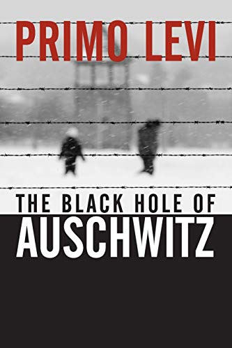 The Black Hole of Auschwitz von Polity