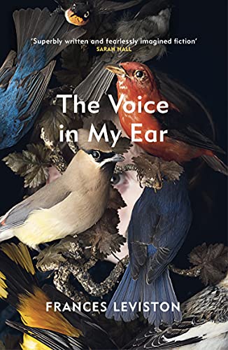 The Voice in My Ear von Vintage