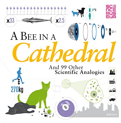 A Bee in a Cathedral: And 99 other scientific analogies von A&C Black Childrens & Educational