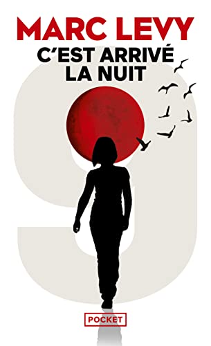 C'est arrivé la nuit: Roman