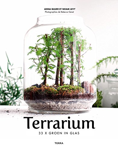 Terrarium: 33 x Groen in glas von Terra