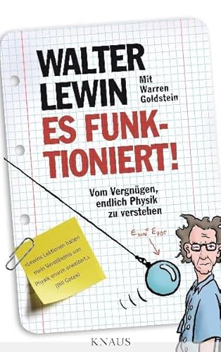 Es funktioniert!: Vom Vergnügen, endlich Physik zu verstehen
