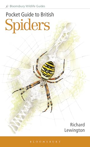 Pocket Guide to British Spiders (Bloomsbury Wildlife Guides) von Bloomsbury Wildlife