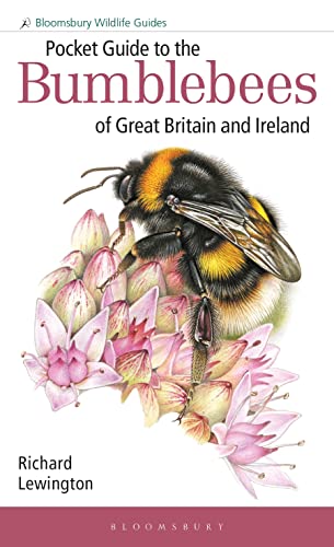Pocket Guide to the Bumblebees of Great Britain and Ireland (Bloomsbury Wildlife Guides) von Bloomsbury Wildlife