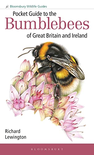 Pocket Guide to the Bumblebees of Great Britain and Ireland (Bloomsbury Wildlife Guides)