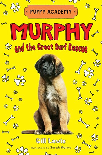 Murphy and the Great Surf Rescue (Puppy Academy, Band 4)