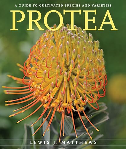 Protea: A Guide to Cultivated Species and Varieties von Latitude 20