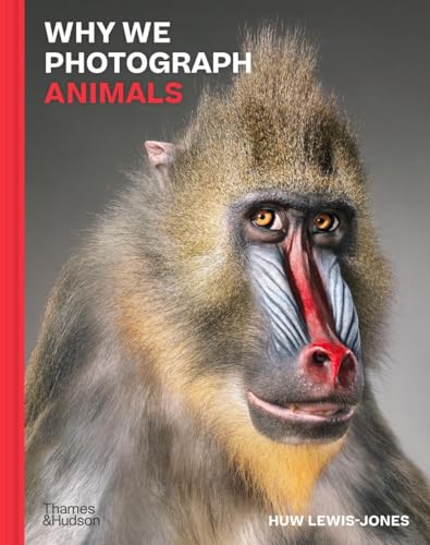 Why We Photograph Animals von Thames & Hudson
