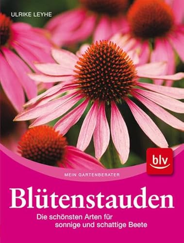 Blütenstauden: Die schönsten Arten für sonnige und schattige Beete