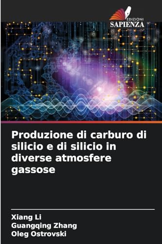 Produzione di carburo di silicio e di silicio in diverse atmosfere gassose von Edizioni Sapienza