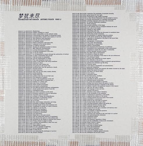 Too Much But Not Enough: Limited edition of 300 - 23 softcover booklets in individual sleeves, housed in a slipcase von Steidl