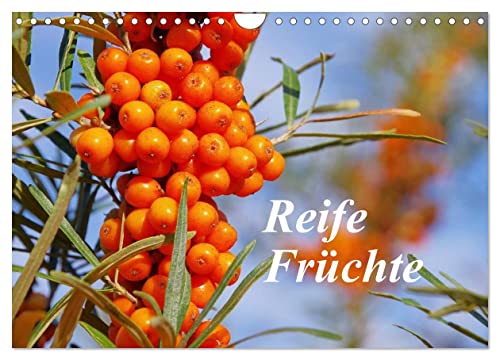 Reife Früchte (Wandkalender 2024 DIN A4 quer), CALVENDO Monatskalender von CALVENDO