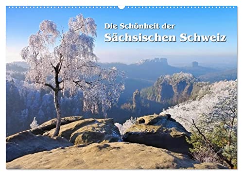 Die Schönheit der Sächsischen Schweiz (Wandkalender 2025 DIN A2 quer), CALVENDO Monatskalender