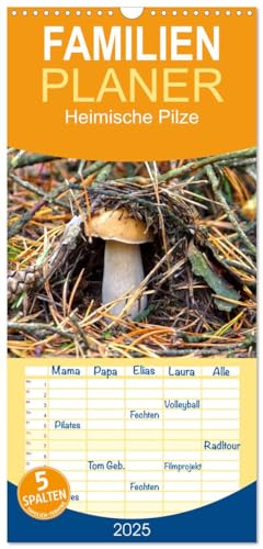 Familienplaner 2025 - Heimische Pilze mit 5 Spalten (Wandkalender, 21 cm x 45 cm), CALVENDO von CALVENDO