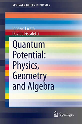 Quantum Potential: Physics, Geometry and Algebra: Physics, Geometry and Algebra (Springer Briefs in Physics) von Springer