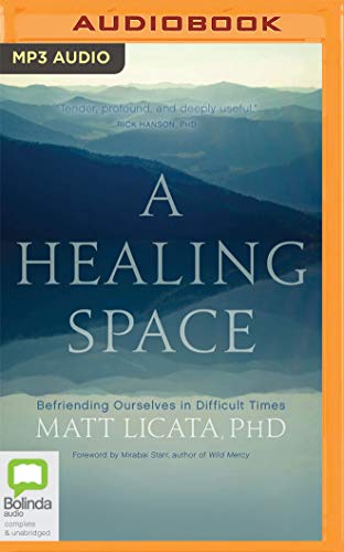 A Healing Space: Befriending Ourselves in Difficult Times von Bolinda Audio