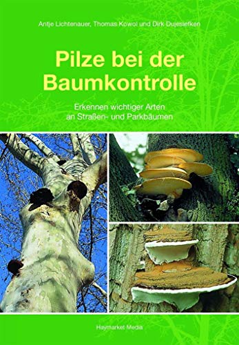 Pilze bei der Baumkontrolle: Erkennen wichtiger Arten an Straßen- und Parkbäumen