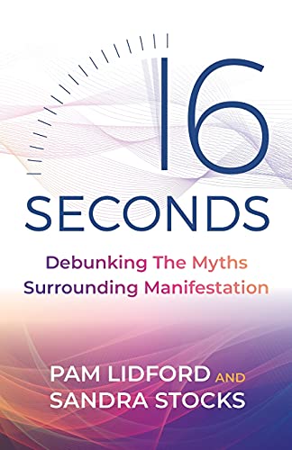 16 Seconds: Debunking The Myths Surrounding Manifestation von Panoma Press