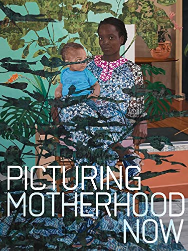 Picturing Motherhood Now von Yale University Press