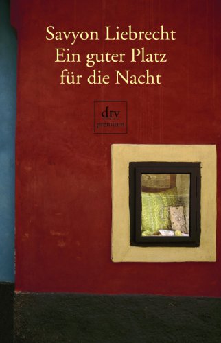 Ein guter Platz für die Nacht: Sieben Erzählungen (dtv premium)