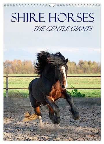 Shire Horses The Gentle Giants (Wandkalender 2024 DIN A3 hoch), CALVENDO Monatskalender von CALVENDO