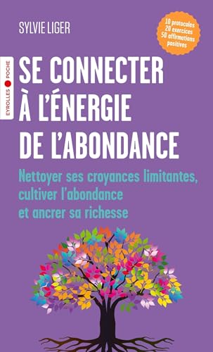 Se connecter à l'énergie de l'abondance: Nettoyer ses croyances limitantes, cultiver l'abondance et ancrer sa richesse