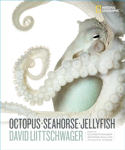 Octopus, Seahorse, Jellyfish von National Geographic