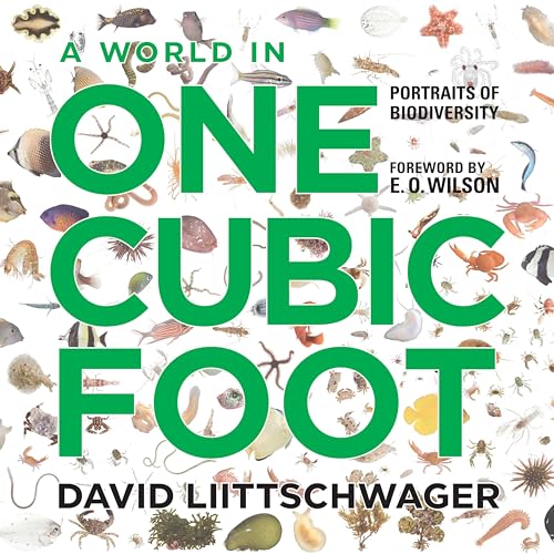 World in One Cubic Foot: Portraits of Biodiversity von University of Chicago Press