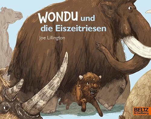 Wondu und die Eiszeitriesen: Vierfarbiges Bilderbuch (MINIMAX) von Beltz