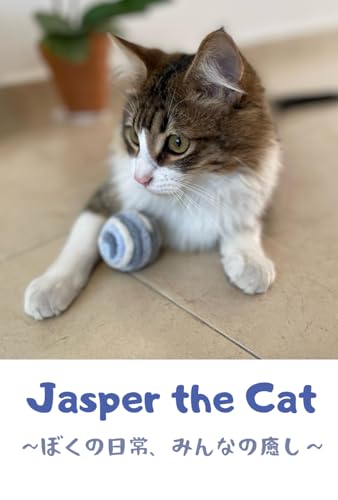 Jasper the Cat: ぼくの日常、みんなの癒し
