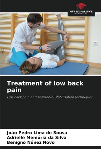 Treatment of low back pain: Low back pain and segmental stabilisation techniques von Our Knowledge Publishing