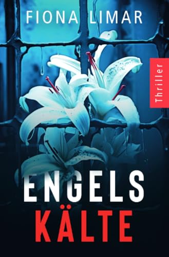 Engelskälte: Psychothriller (Psychiatrie-Thriller) Engelskälte: Psychothriller (Psychiatrie-Thriller) von epubli